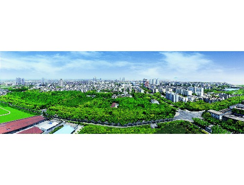 博鱼boyu体育官方平台：个旧绿化养护公司