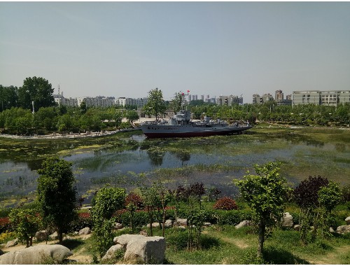 双鸭山绿化工程苗的主要批发市场