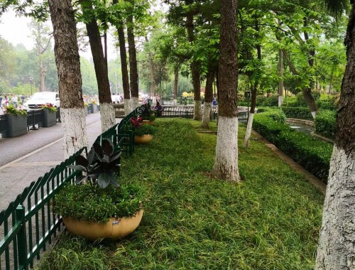 博鱼boyu体育官方平台：杨浦区城市绿化工程招标