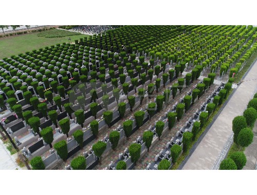 博鱼boyu登录入口：小区园林绿化工程网站建设