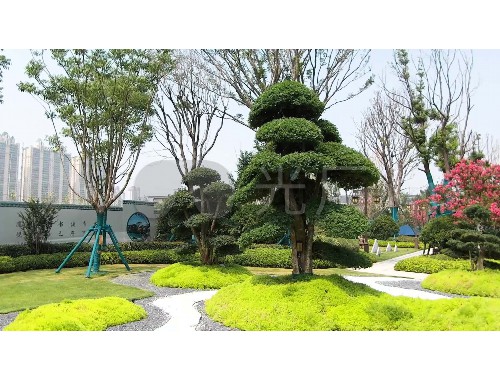 博鱼boyu体育官方平台：扬州工厂绿化工程招标